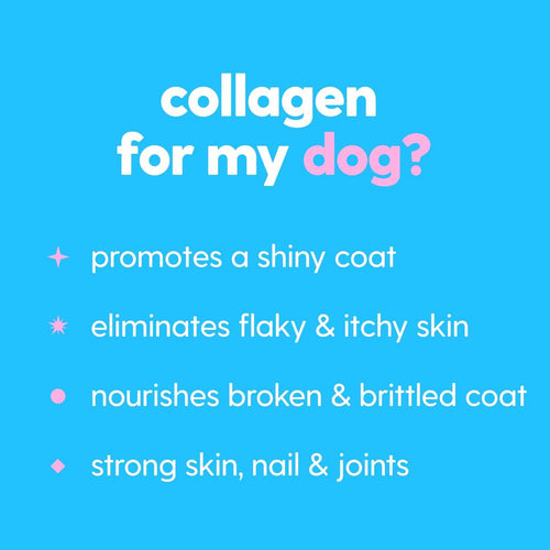 VitaPaws Collagen Drops