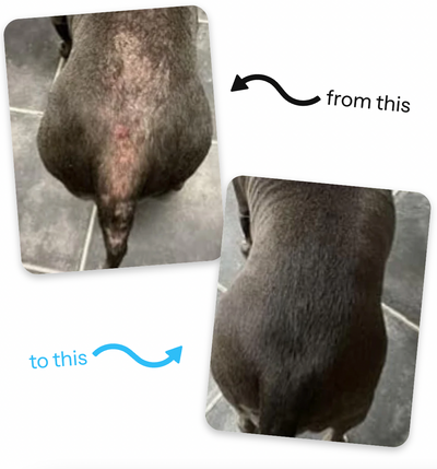 VitaPaws Collagen Drops