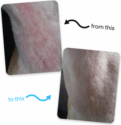 VitaPaws Collagen Drops