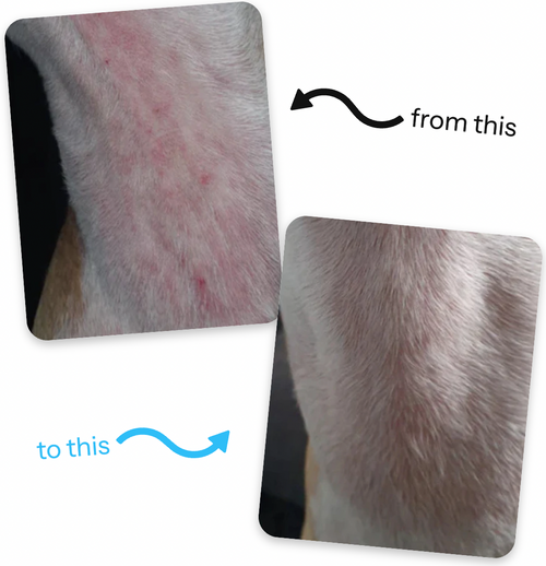 VitaPaws Collagen Drops